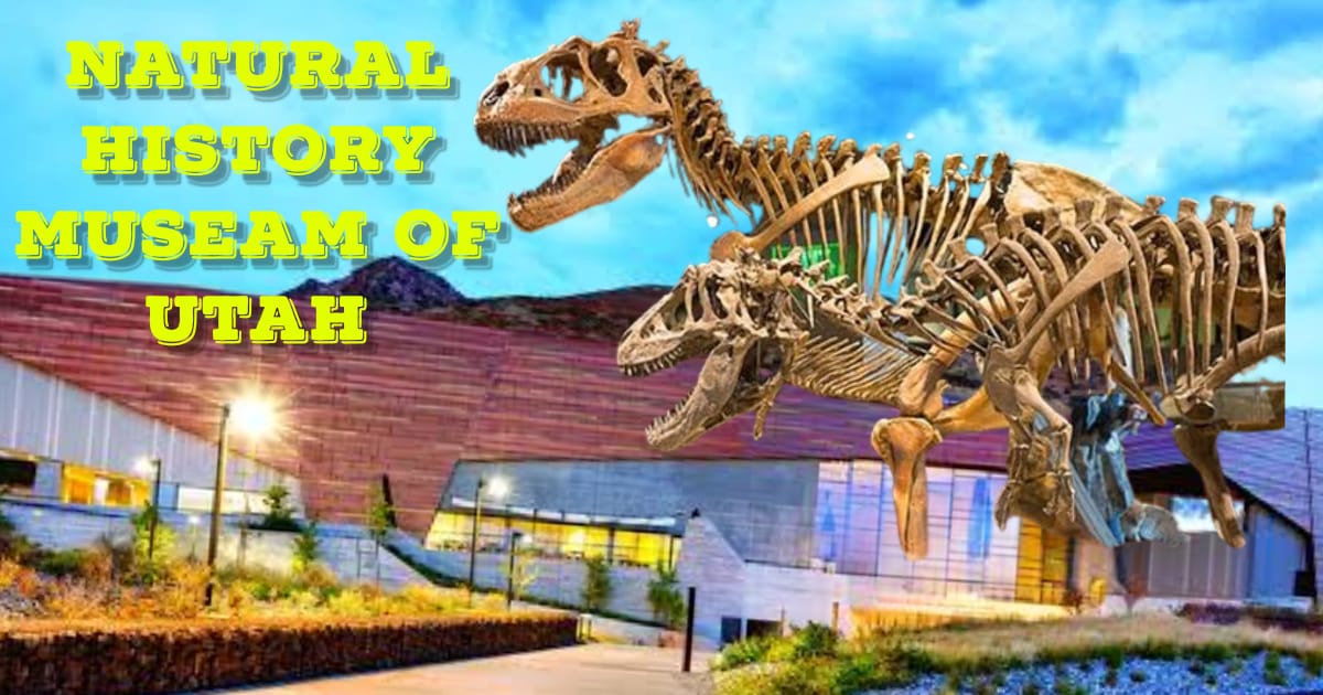 Discover the Natural History Museum of Utah: A Treasure Trove of Wonder